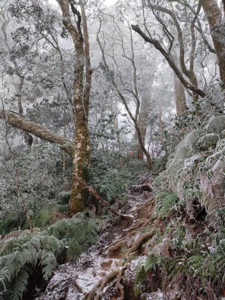 雪季北得拉曼2956424