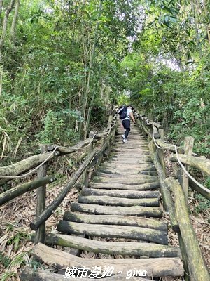 【台中北屯】大坑1號步道3095054