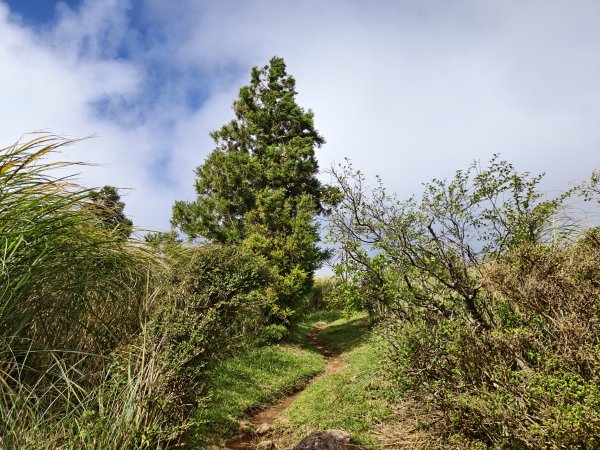 [百山百鳥尋旅-11/15] 2025_0927 大屯主峰-連峰步道_大屯山南峰2899367