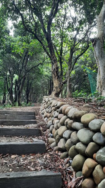 《彰化》鷹鳴蝶舞｜八卦山大嶺巷步道群202306042171645