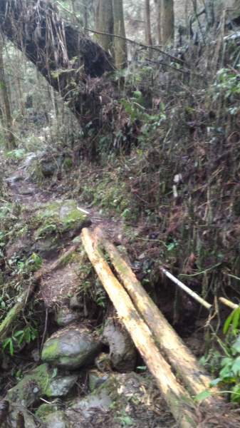 光天高山、向天湖山連走96945