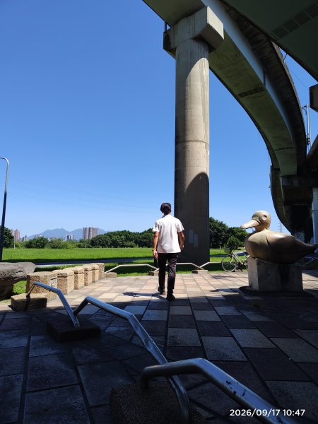 2026臺北健走趣華江雁鴨自然公園步道2026091711073119575