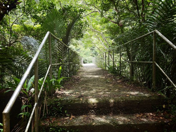[淡蘭古道] 2026_0531 北路第一段_燦光寮古道(下)-牡丹溪畔3070968