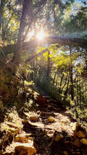 🌈11/15（六）松鶴上八仙山下森林遊樂區✨FB：熊熊趴爬走🌈2937664