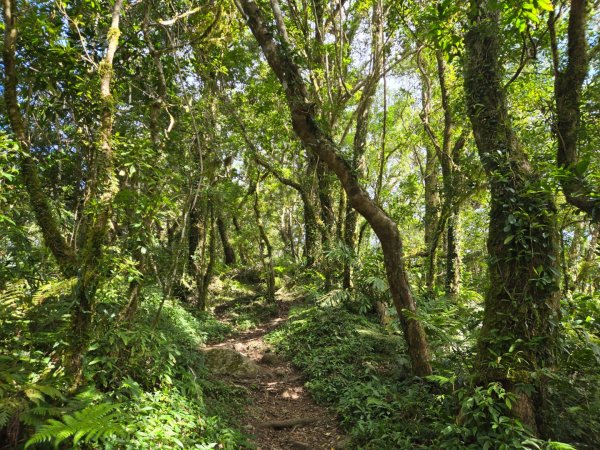 都蘭山（小百岳）2974183