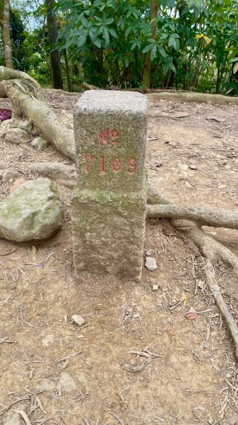 笠頂山(小百岳#76)2730834