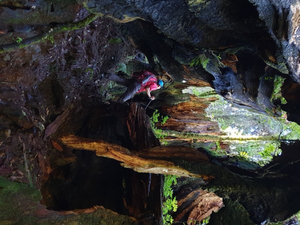 嶺頭山-金柑樹山-忘憂森林，O型縱走1000751