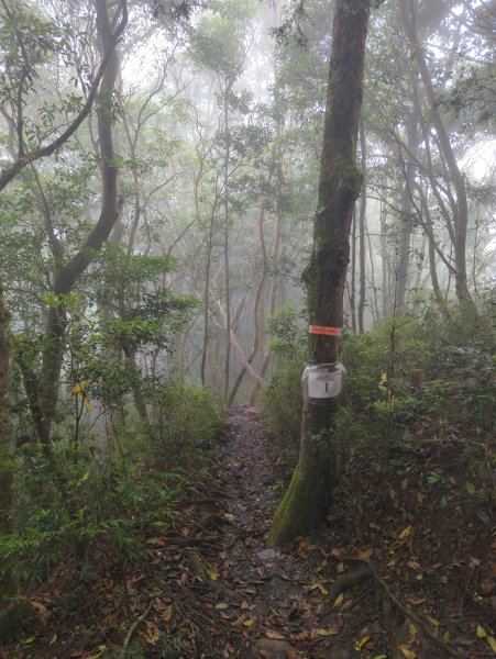 2025.07.05－高島縱走2828193