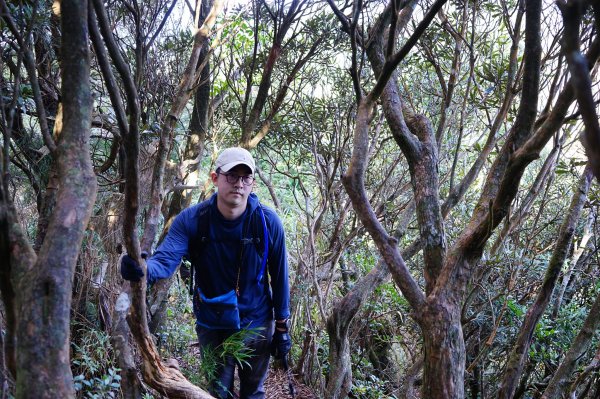 新竹關西鎮 水田林道之貴妃&那結山連走1539700