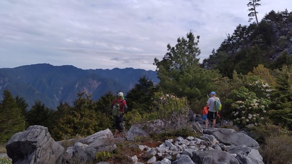 20240421台中南投馬崙山、白姑西峰、白姑大山三叉峰、白姑大山2485201