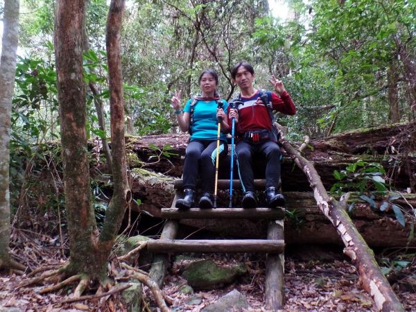 谷關七雄~屋我尾山293618