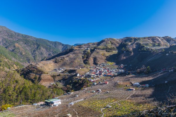 福壽山千櫻園櫻花盛開2724927