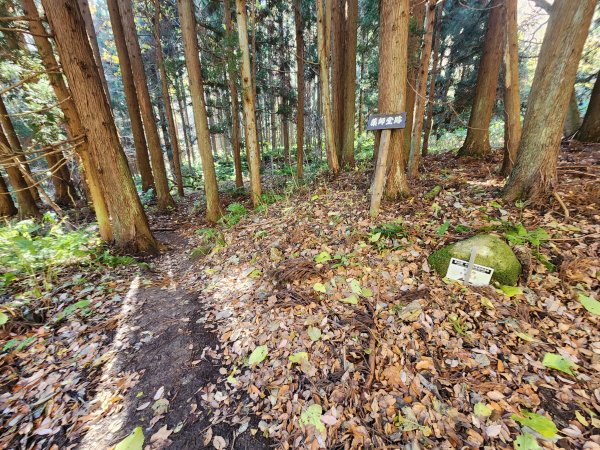 20251123秘境車站峠駅與垂水遺跡2957780