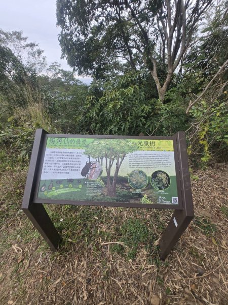 橫山健行，順遊清水岩寺2709402