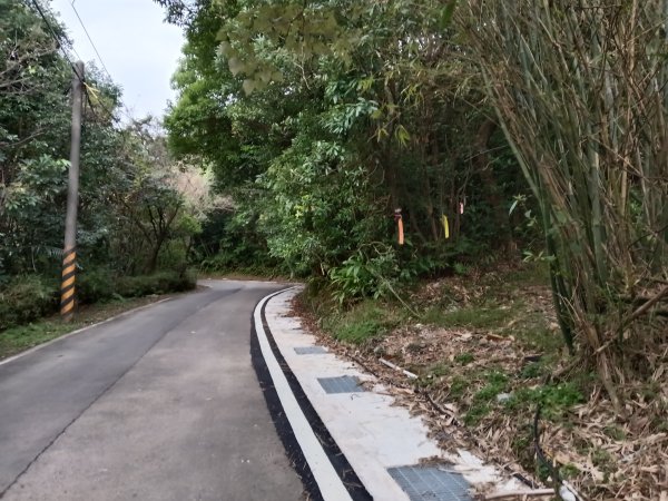 基隆市三層山+湳子大崙+淡基橫斷古道+面桶寮土地公2982261