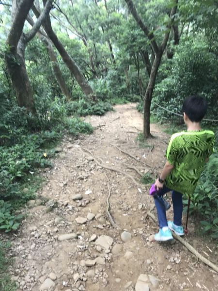 飛鳳山 觀日亭 石壁潭山 環狀路線147204