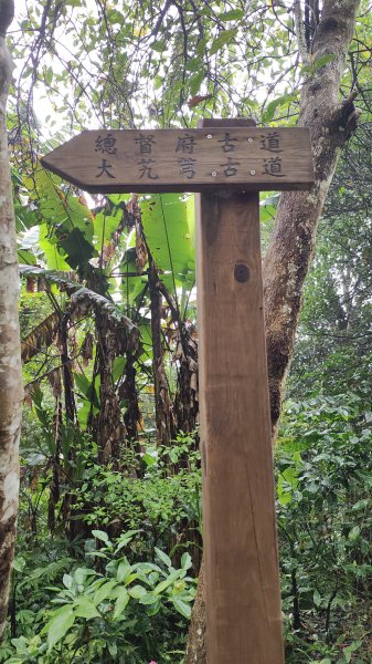 百吉林蔭步道3031331