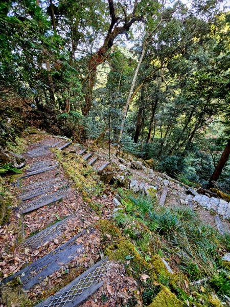 大雪山森林遊樂區森林浴步道2966023