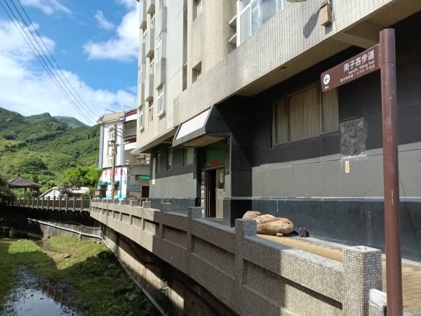 瑞芳區南子吝山+南子吝山稜(黃金七稜)+保羅尖8字走2873663