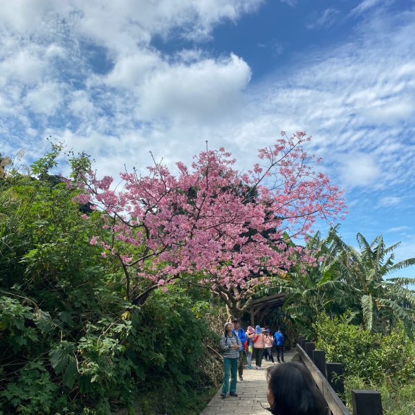 貓空1305360