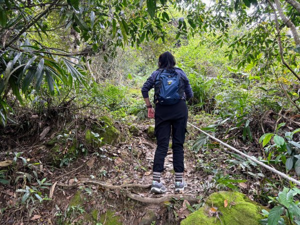 暗影山步道2753102