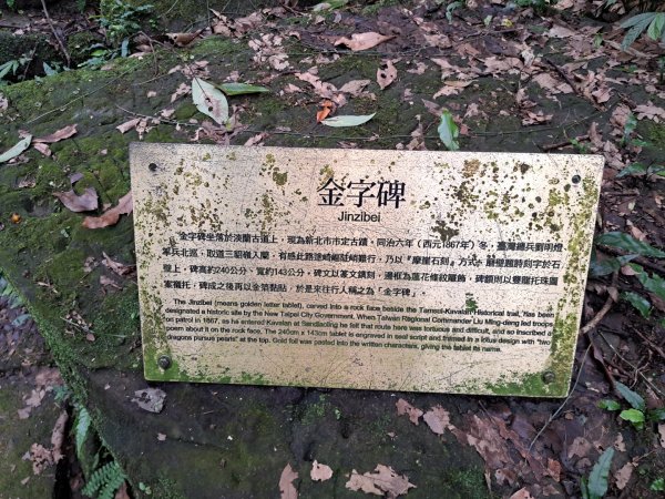 淡蘭北路第四，五段：瑞芳車站到大里車站3105780