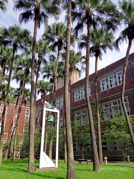 內湖文德三號公園、師大公園、師大本部、大港墘公園【走路趣尋寶、健康大穀東】2231881