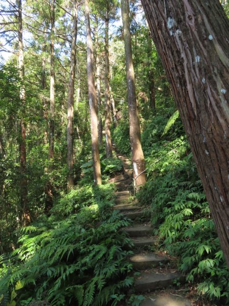 仙山登山步道O形走+小百岳No.33仙山2715843