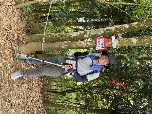 20230506_五指山（新竹小百岳）2762398