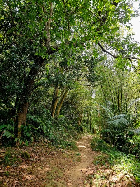 獅山古道 - 2024森遊竹縣皮皮獅Hike客任務2556081