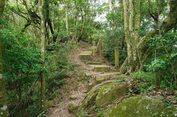 新北 新店 獅仔頭山、粽串尖、大丘田山2804278