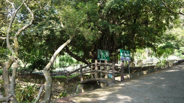 二訪鐵砧山登山建行趣(小百岳38號)1623152