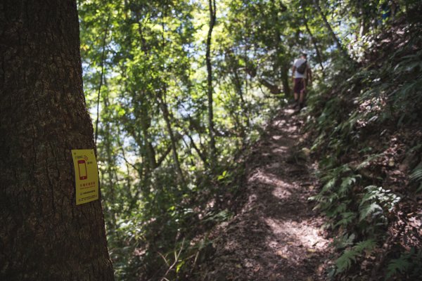 八仙山-夏日避暑好所在631683