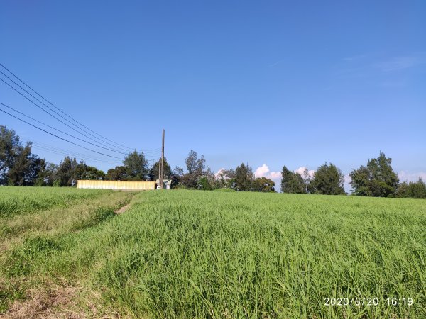 大甲區鐵砧山登山步道(日光牧場)1038982