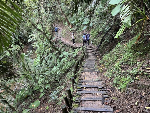 [微笑山線_第十二段] 2025_0803 五分山系_嶺腳寮山2851315
