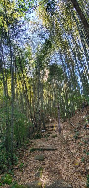 2025-01-30瑞太古道2704365