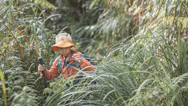 探訪台北溪流之美｜桶後越嶺古道（礁溪-烏來）2911743