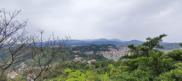 2026/03/01-紅淡山步道3010056