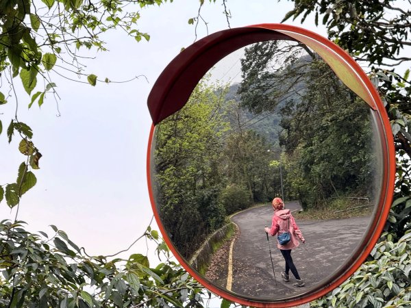 汐止大尖山-202503172770529