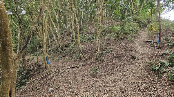 暗影山三進三出2366583