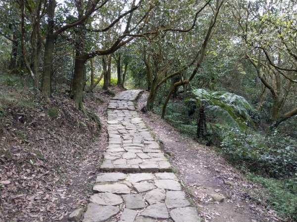 冷水坑-擎天崗環狀步道(竹嵩山)-風櫃嘴821031