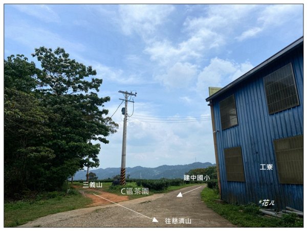三義山、慈濟山、大坪山 連走桐花之旅3043863