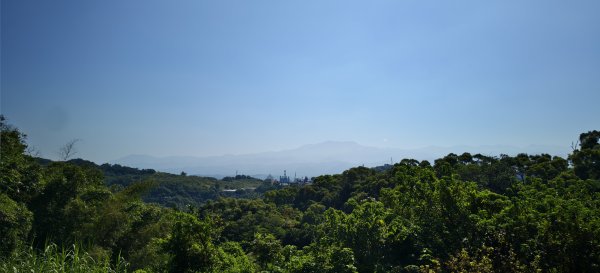 2025/10/05_四角坪道2905295