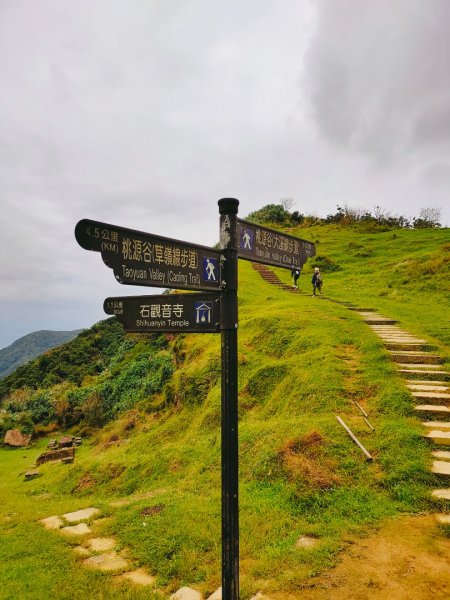 灣坑頭山 海拔：616 小百岳82 與桃源谷大溪線1586463