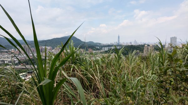 小南港山（橫科山）1016389