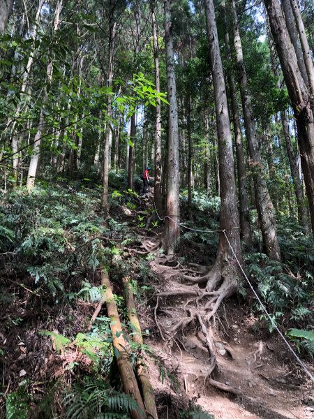 中級山-高島縱走2888445