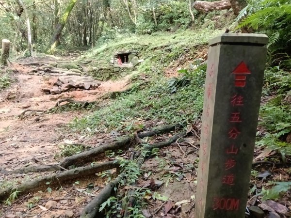基隆市暖東舊道+頂子寮山+五分山步道(五分山)去回2946203