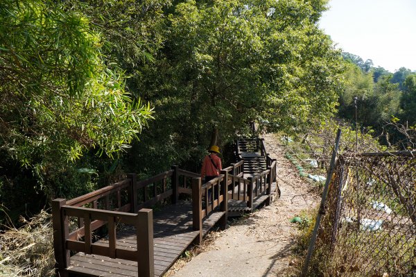 后里鳳凰山-觀音山步道740232