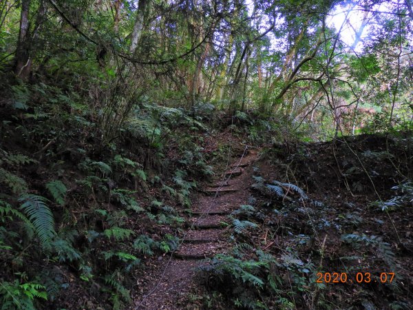 新竹 五峰 民都有山(面托油山)869208