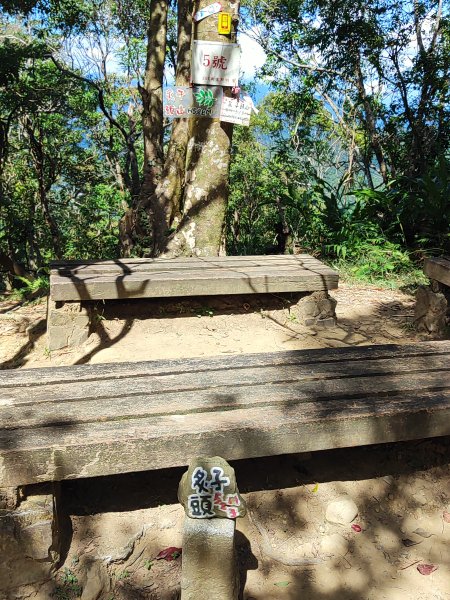 微笑山線：【二格山系】筆架連峰段2920972